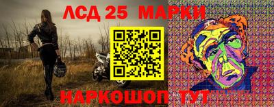 тгк Бердск