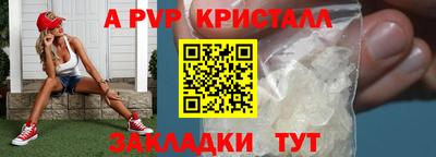 тгк Бердск