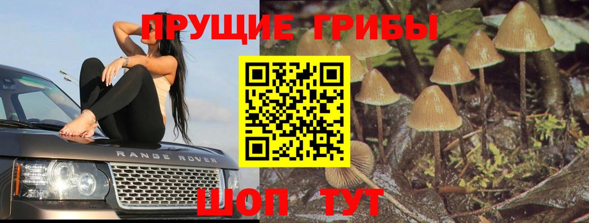 Псилоцибиновые грибы Psilocybine cubensis  Вход с VPN  Волжск  Галлюциногенные грибы мухоморы 