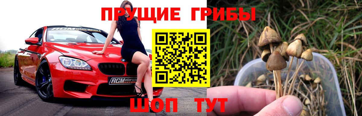 Галлюциногенные грибы GOLDEN TEACHER Волжск